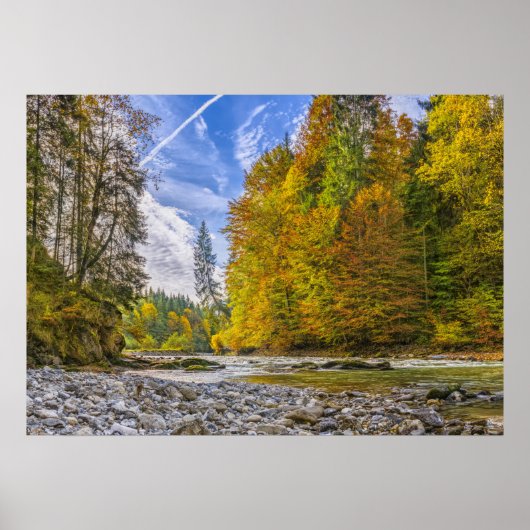 Creek Poster (Voorkant)