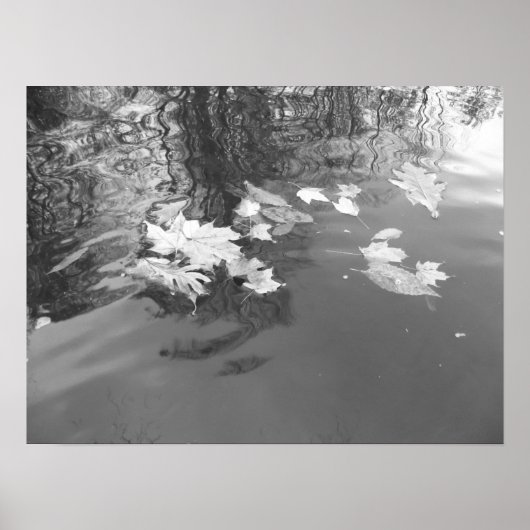 Creek Poster (Voorkant)