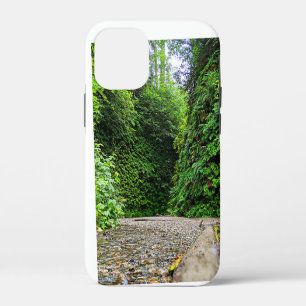 Creek Trail Winds in Green Walls of Fern Canyon Case-Mate iPhone Case