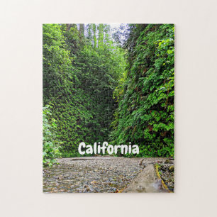 Creek Trail Winds in Green Walls of Fern Canyon Legpuzzel