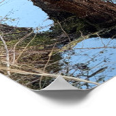Creek Waterscape Reflections Foto Poster (Hoek)