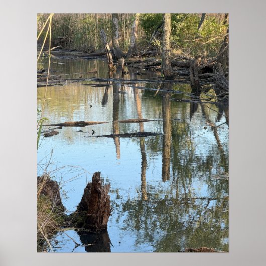 Creek Waterscape Reflections Foto Poster (Voorkant)
