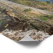 Creek Waterscape Reflections Poster (Hoek)