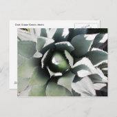 Creel, Copper Canyon, Mexico Briefkaart (Voorkant / Achterkant)