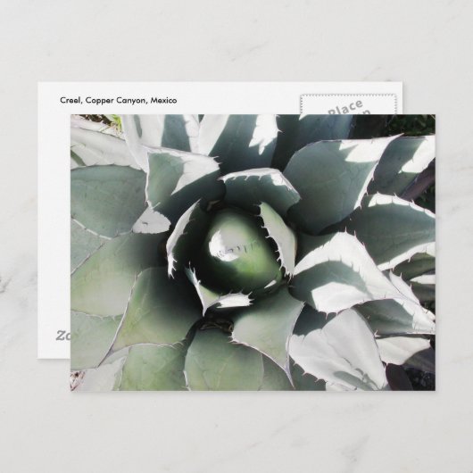 Creel, Copper Canyon, Mexico Briefkaart (Voorkant / Achterkant)