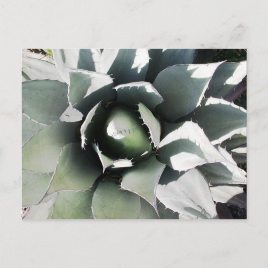 Creel, Copper Canyon, Mexico Briefkaart (Voorkant)