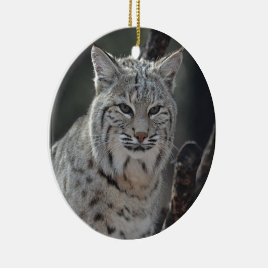 Creeping Bobcat Keramisch Ornament (Rechts)