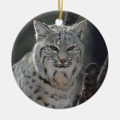 Creeping Bobcat Keramisch Ornament (Voorkant)