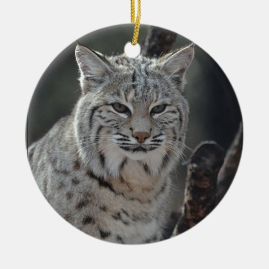 Creeping Bobcat Keramisch Ornament (Voorkant)