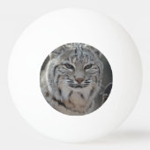 Creeping Bobcat Pingpongbal (Voorkant)