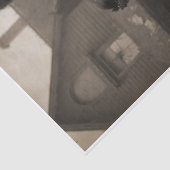 Creepy Cat Family  Tissuepapier (Detail)