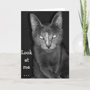 Creepy Cat - Verjaardag Kaart