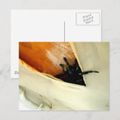 Creepy Crawler Briefkaart (Voorkant / Achterkant)