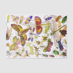 Creepy Crawlies Insect Tissue Paper   Biologie Tissuepapier