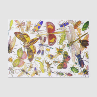 Creepy Crawlies Insect Tissue Paper | Biologie Tissuepapier