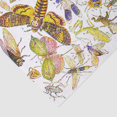 Creepy Crawlies Insect Tissue Paper | Biologie Tissuepapier (Detail)