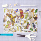 Creepy Crawlies Insect Tissue Paper | Biologie Tissuepapier (Craft)