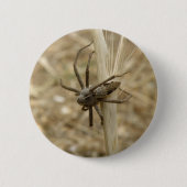 Creepy Crawly Spider Button (Voorkant)