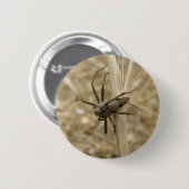 Creepy Crawly Spider Button (Voorkant /achterkant)