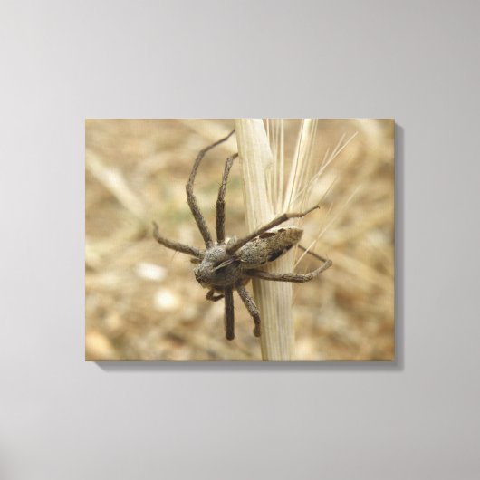 Creepy Crawly Spider Canvas Afdruk (Voorkant)