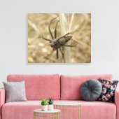 Creepy Crawly Spider Canvas Afdruk (Insitu (Woonkamer))