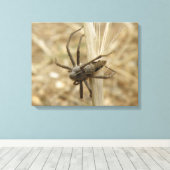 Creepy Crawly Spider Canvas Afdruk (Insitu (Houten vloer))