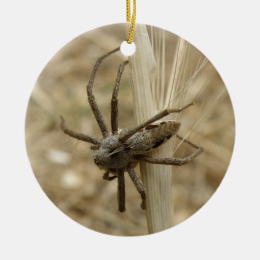 Creepy Crawly Spider Custom Birthday Keramisch Ornament (Voorkant)