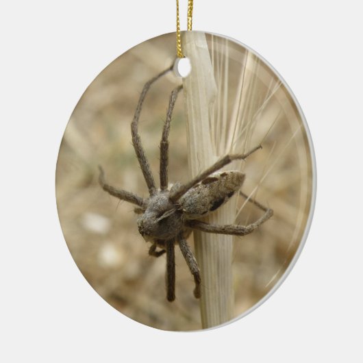 Creepy Crawly Spider Custom Birthday Keramisch Ornament (Links)