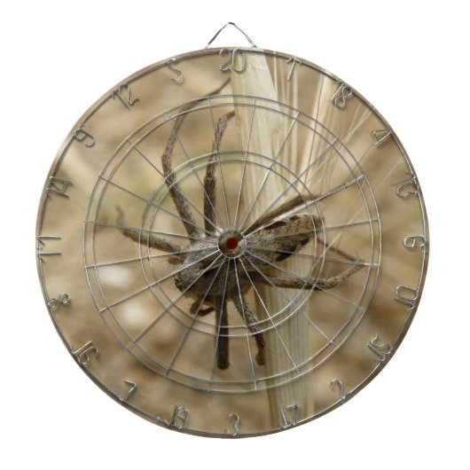 Creepy Crawly Spider Dart Board Dartbord (Voorkant)