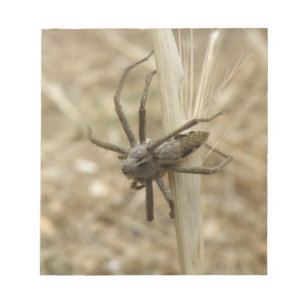 Creepy Crawly Spider-laptop Notitieblok