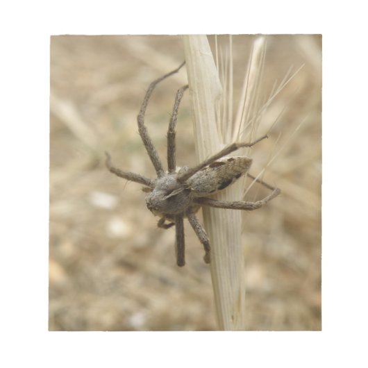 Creepy Crawly Spider-laptop Notitieblok (Voorkant)