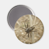 Creepy Crawly Spider Magnet (Voorkant / Achterkant)
