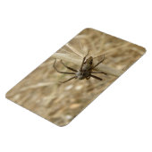 Creepy Crawly Spider Premium Magnet Magneet (Linkerzijde)