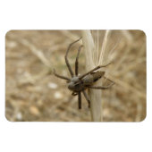 Creepy Crawly Spider Premium Magnet Magneet (Horizontaal)