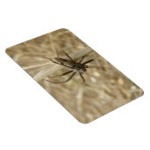 Creepy Crawly Spider Premium Magnet Magneet (Rechterzijde)