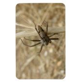 Creepy Crawly Spider Premium Magnet Magneet (Verticaal)