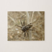 Creepy Crawly Spider Puzzle Legpuzzel (Horizontaal)