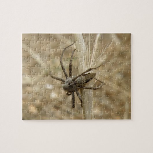 Creepy Crawly Spider Puzzle Legpuzzel (Horizontaal)