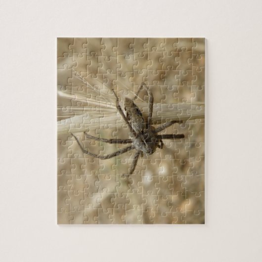 Creepy Crawly Spider Puzzle Legpuzzel (Verticaal)