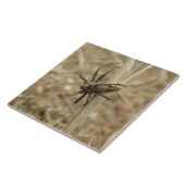 Creepy Crawly Spider Tile Tegeltje (Zijkant)