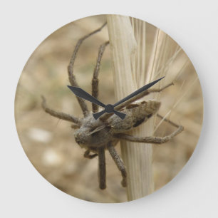 Creepy Crawly Spider Wall klok