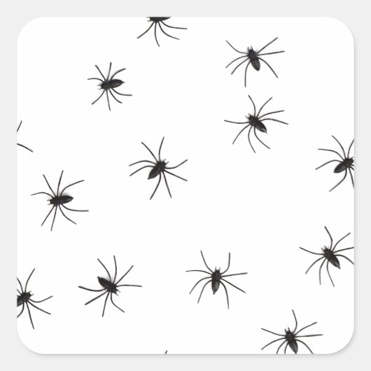 Creepy Crawly Spiders Vierkante Sticker (Voorkant)