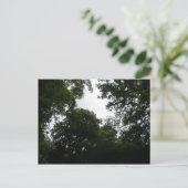 Creepy Forest Briefkaart (Staand voorkant)
