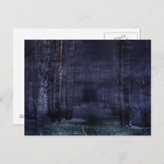 Creepy Forest Briefkaart (Voorkant / Achterkant)