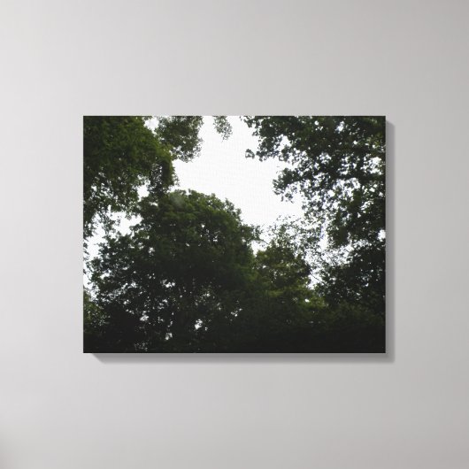 Creepy Forest Canvas Print (Voorkant)