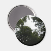 Creepy Forest Magnet (Voorkant / Achterkant)