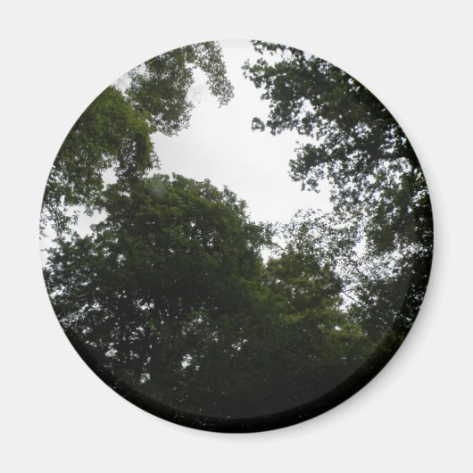Creepy Forest Magnet (Voorkant)
