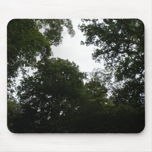 Creepy Forest Mousepad Muismat (Voorkant)