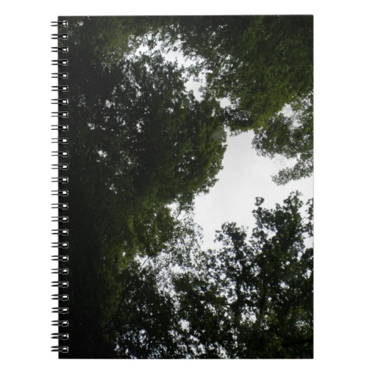 Creepy Forest Notitieboek (Voorkant)