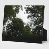 Creepy Forest Plaque Fotoplaat (Zijkant)